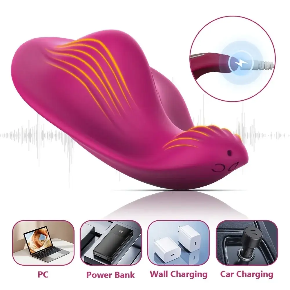 app controlled panties vibrator with music sync feature