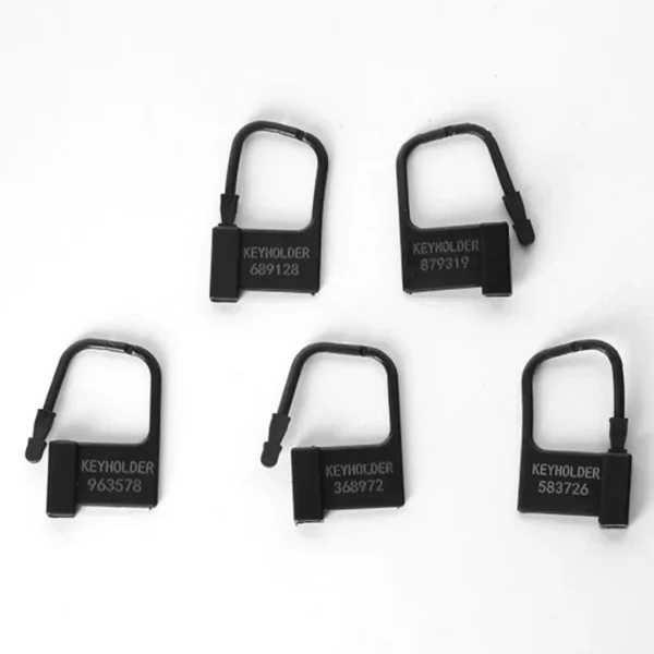 abs plastic sex toy security box