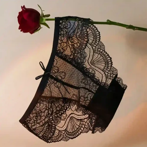 comfortable sheer briefs transparent