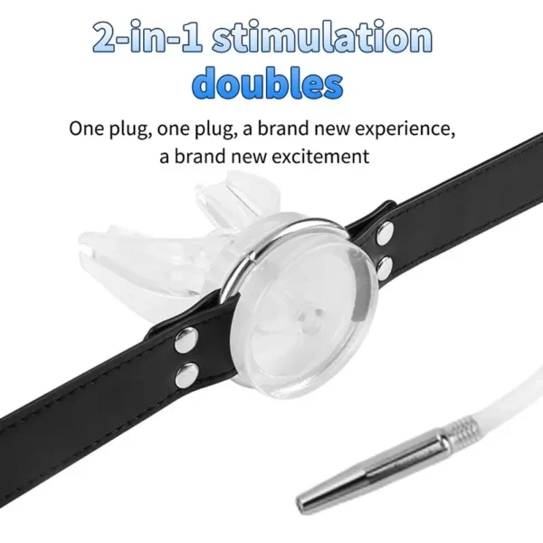 isensualflow com metal chastity device urethral insertion